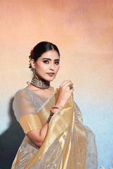 Grey Embroidered Tissue Cotton silk saree
