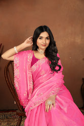 Light Pink Embroidery Sequence Work Jimmy Choo Saree