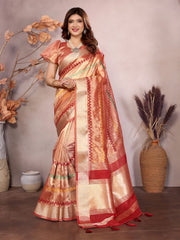 Red Kashmiri Zari work Saree
