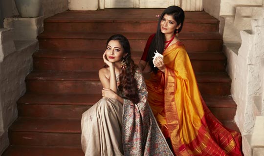 Celebrating the Grace and Splendor of Saree Indian Tradition