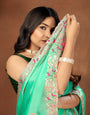 Green Embroidery Sequence Jimmy Choo Barbaric saree with  Blouse