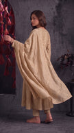 Beige Vichitra Silk Stitched Suit