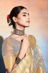 Grey Embroidered Tissue Cotton silk saree