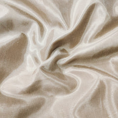 Soft Beige Organza with position handwork Unstitched suit