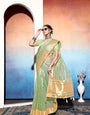 Pista Green Embroidered Tissue Cotton silk saree