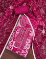 Rani Pink Organza Unstitched Suit Set