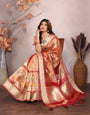 Red Kashmiri Zari work Saree