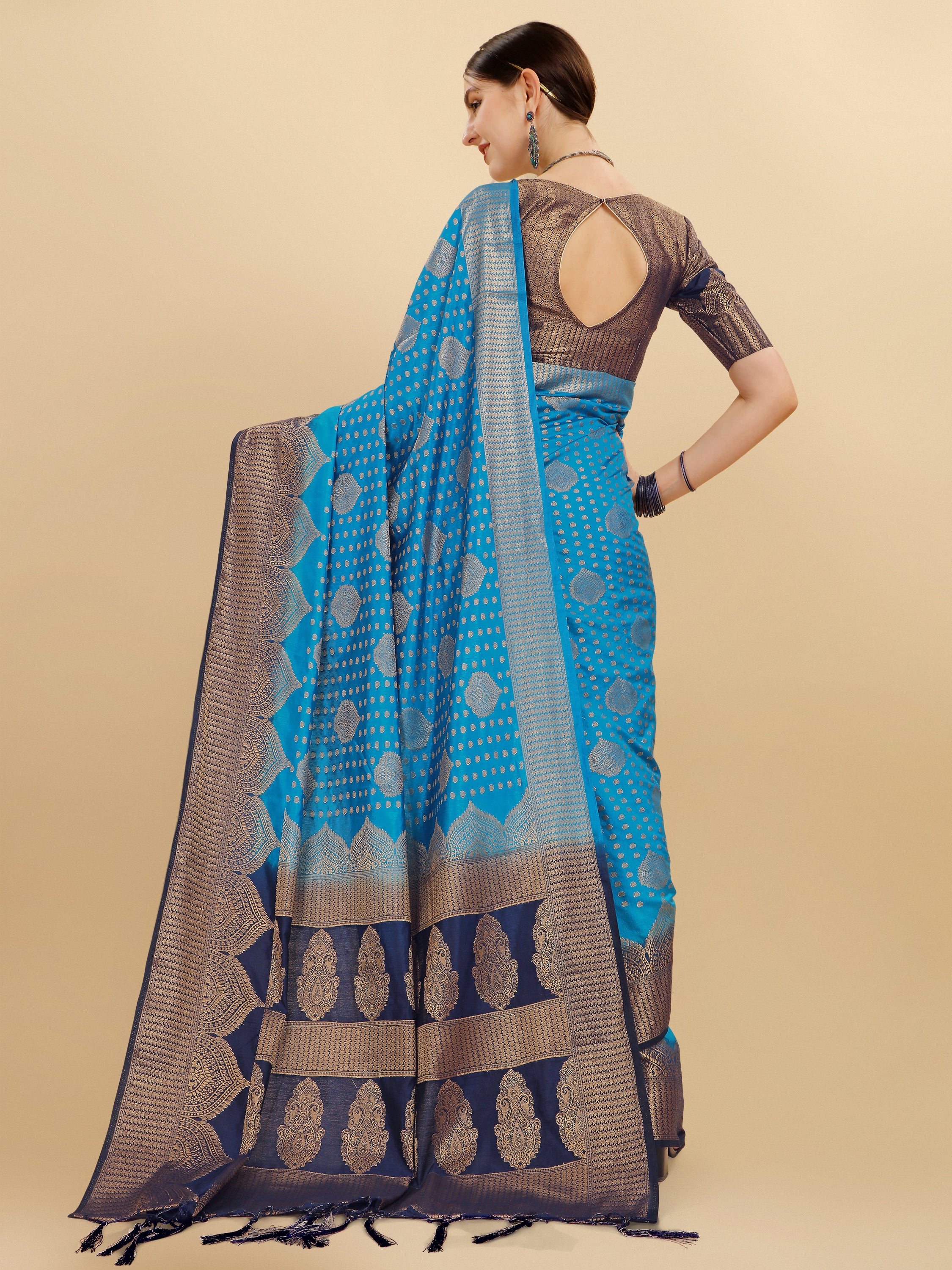 Sky Blue Pink Banarasi Weaving Saree