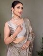 Grey Jimmy choo silk fabric saree with zari work