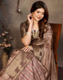 Brown Banarasi Jacquard Abstract Digital Print
