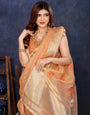 Orange Viscose Thread Work Saree