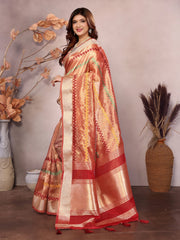 Red Kashmiri Zari work Saree